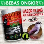 Daftar Resmi Gacor – Penawaran Terbaik untuk Burung Berkicau