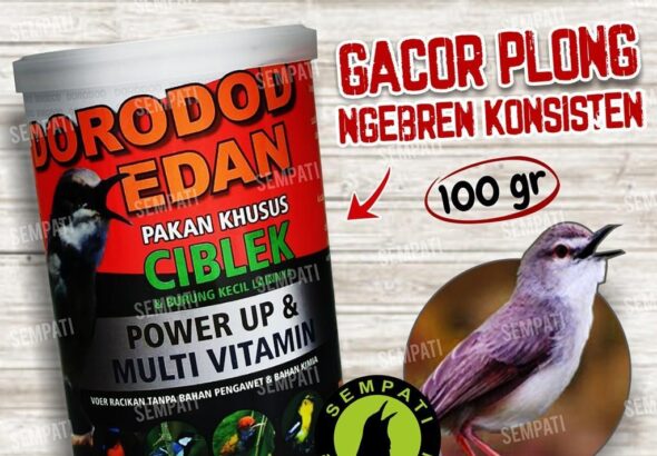 Daftar Resmi Gacor – Penawaran Terbaik untuk Burung Berkicau